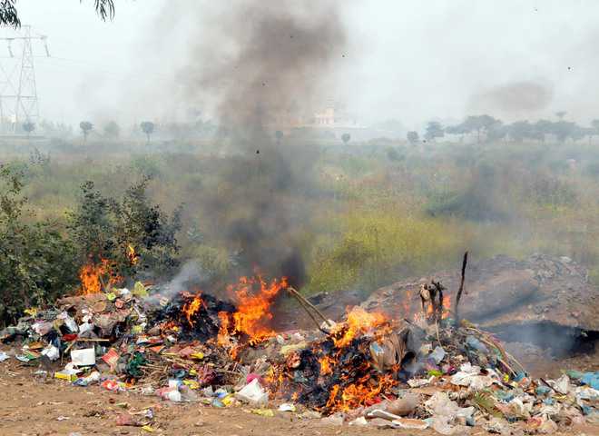 Garbage Burning in Goa